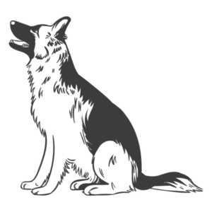 12 Months in Advance with 20% Discount – Per person/ Per Dog