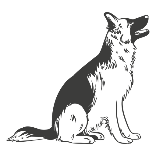 6 Months in advance with 2 payments 10% Discount - Per person/Per Dog