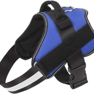 Dog Harness